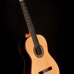 Esteve Manuel Adalid Hauser