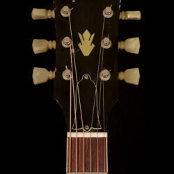 Gibson ES-335 TDC