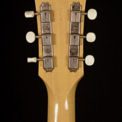 Gibson Les Paul Special Double Cutaway