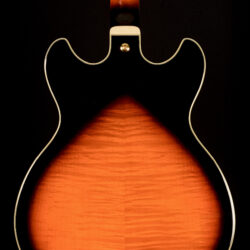 Ibanez AS113-BS 5B-01