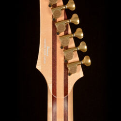 Ibanez J.Custom JCRG22S08 Limited Edition - 1 of 1