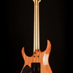 Ibanez RG8570CST-NT