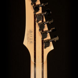 Ibanez RG8570CST-NT