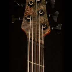 Ibanez SRMS805-DTW 5-string Bass