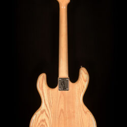 Peavey T-60
