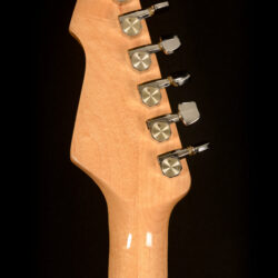 Peavey T-60