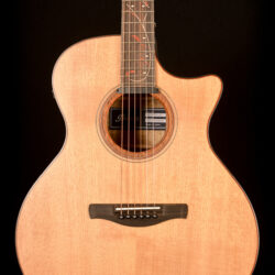 Ibanez AE295MYW-LGS