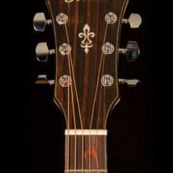 Ibanez AE295MYW-LGS