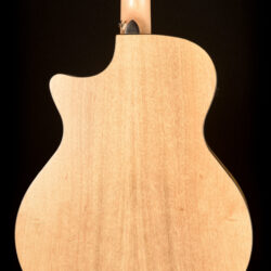 Ibanez AE295MYW-LGS