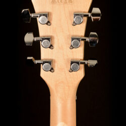 Ibanez AE295MYW-LGS
