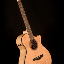 Ibanez AE295MYW-LGS