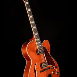 Ibanez AF95-DA