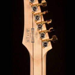 Ibanez SML721