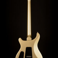 PRS Custom 24