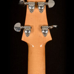 Dan Armstrong Plexi Bass 1970