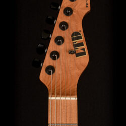ESP LTD TE-1000