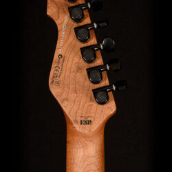 ESP LTD TE-1000