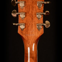 Gretsch G-5034TFT SVS