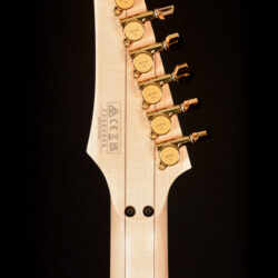 Ibanez PIA3761 Steve Vai Onyx Black