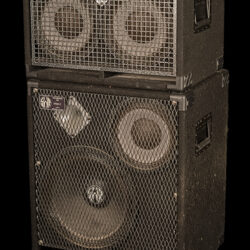 SWR Triad I / Goliath Jr III Bass Cabinets