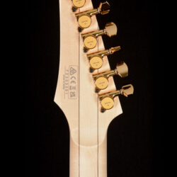 Ibanez RGA622XH