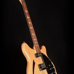 Rickenbacker 360-12 Mapleglo 1993