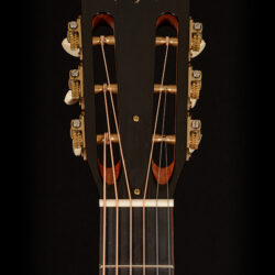 Taylor Custom GS