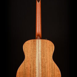 Taylor Custom GS