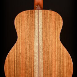 Taylor Custom GS