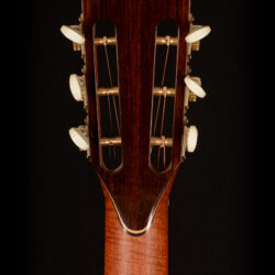 Taylor Custom GS