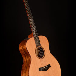 Taylor Custom GS