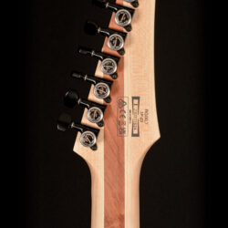 Ibanez RGIXL7 Black Flat 7-string