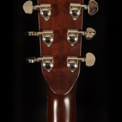 Amistar Resonator Guitar