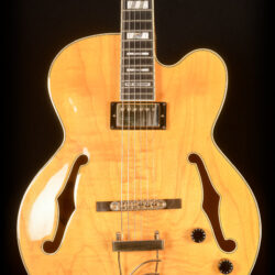 Ibanez PM2-AA 5B-03 Pat Metheny
