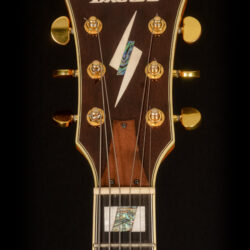 Ibanez PM2-AA 5B-03 Pat Metheny