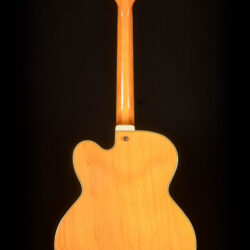 Ibanez PM2-AA 5B-03 Pat Metheny