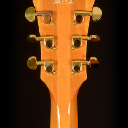 Ibanez PM2-AA 5B-03 Pat Metheny
