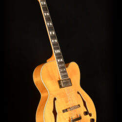Ibanez PM2-AA 5B-03 Pat Metheny