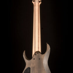 Ibanez RG9PB 9-string