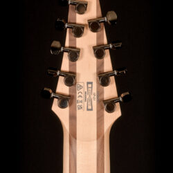 Ibanez RG9PB 9-string