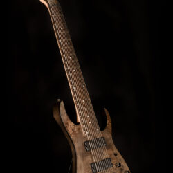 Ibanez RG9PB 9-string
