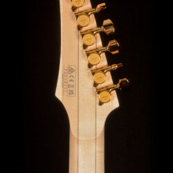 Ibanez RGA622XH-WH