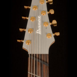 Ibanez RGD81MS 8-string