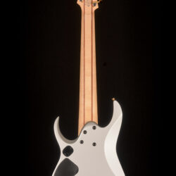 Ibanez RGD81MS 8-string