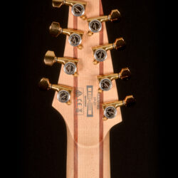 Ibanez RGD81MS 8-string