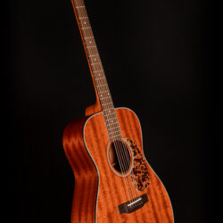 Blueridge BR-143M