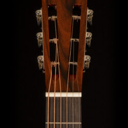 Blueridge BR-341M