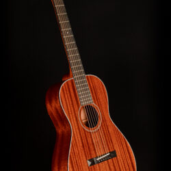 Blueridge BR-341M
