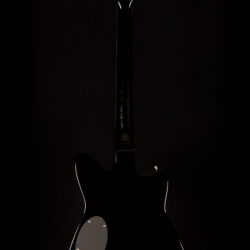 Duesenberg Falken Tremolo