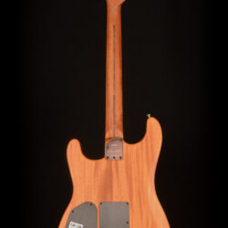 Fender American Acoustasonic Stratocaster
